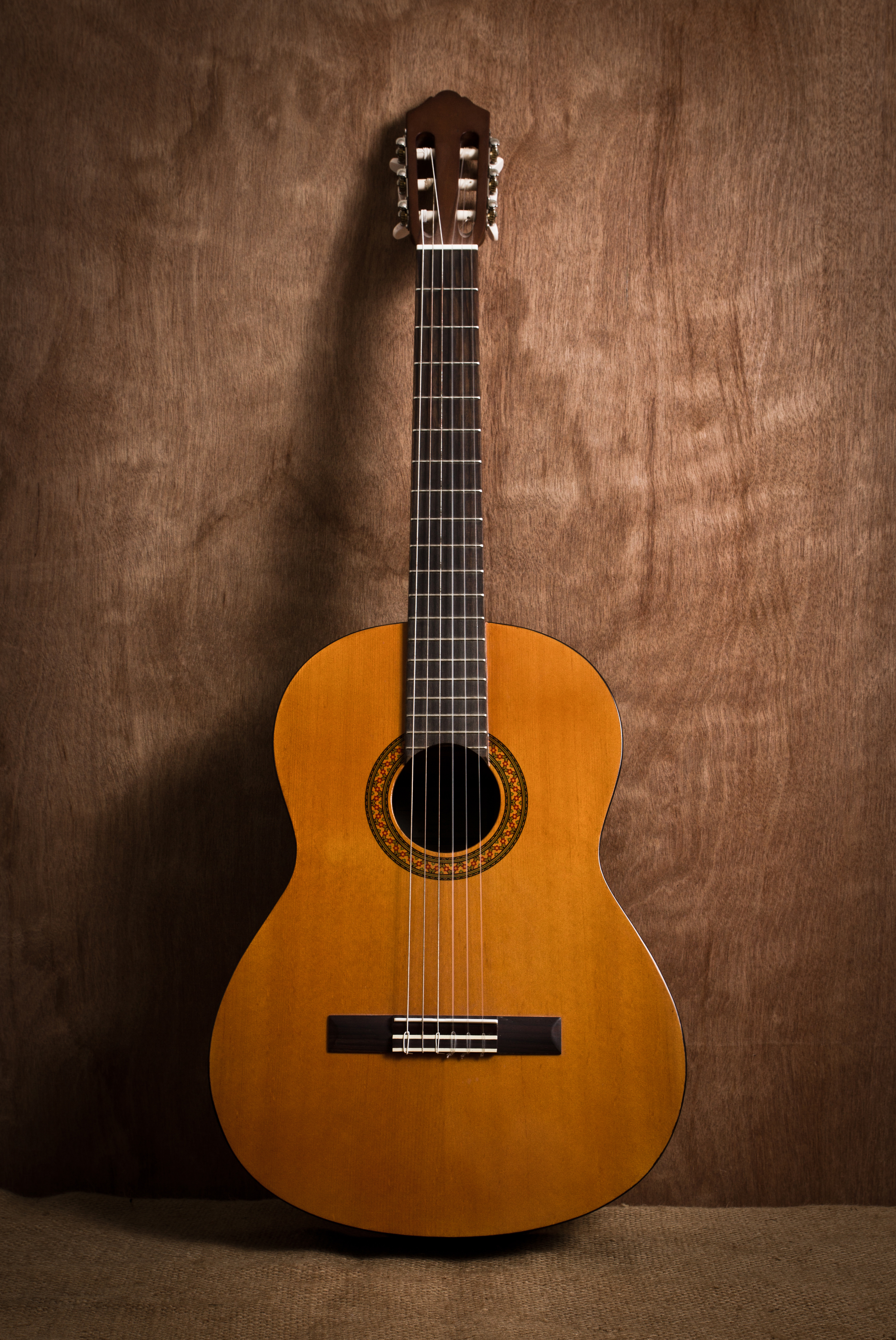 Guitar 4